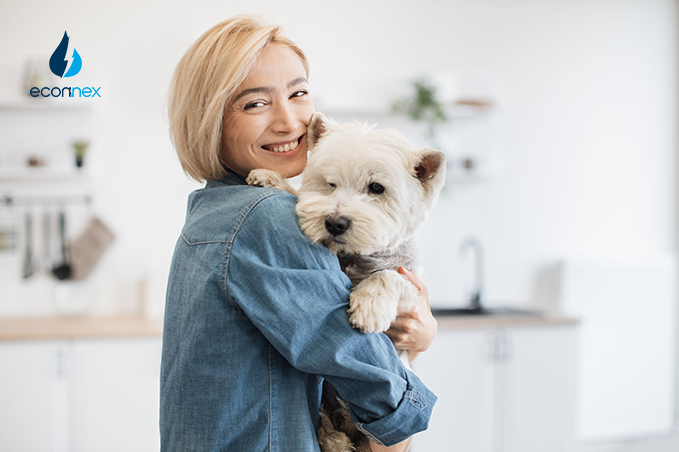 Protect your pet with electrical safety tips