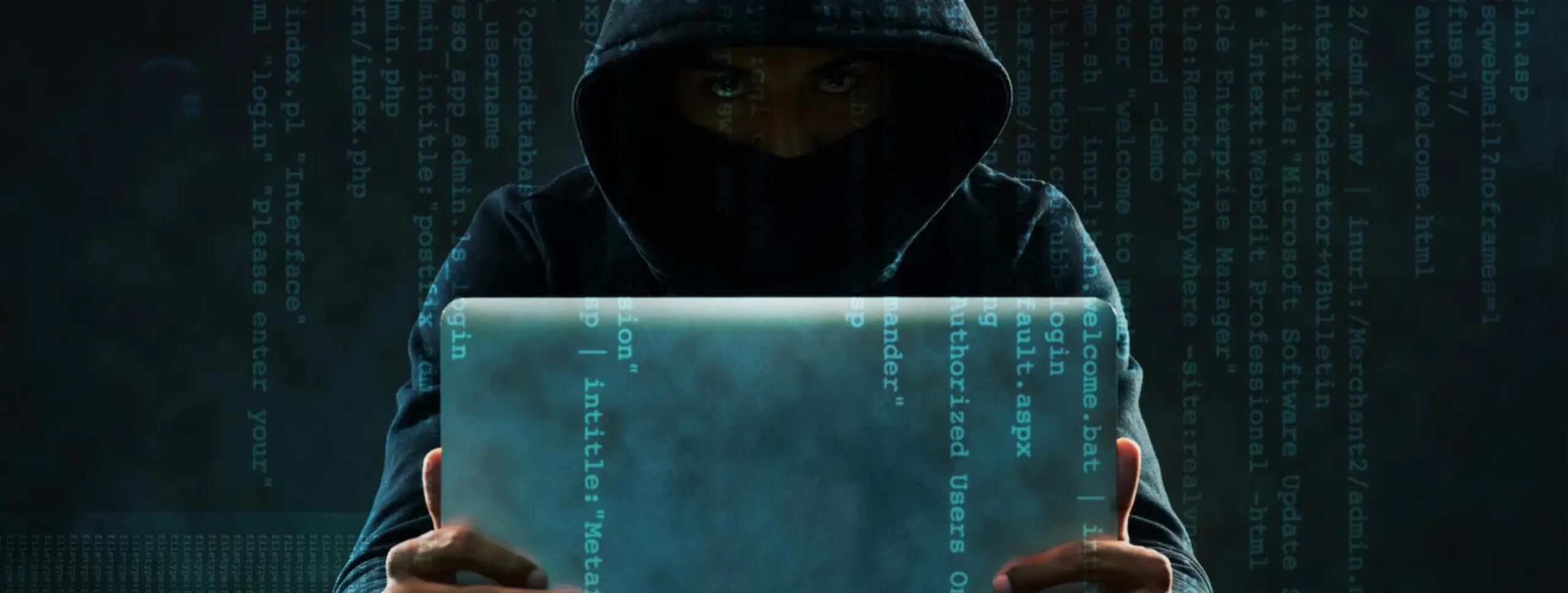 Dodo & iPrimus Hack: What You Need to Know