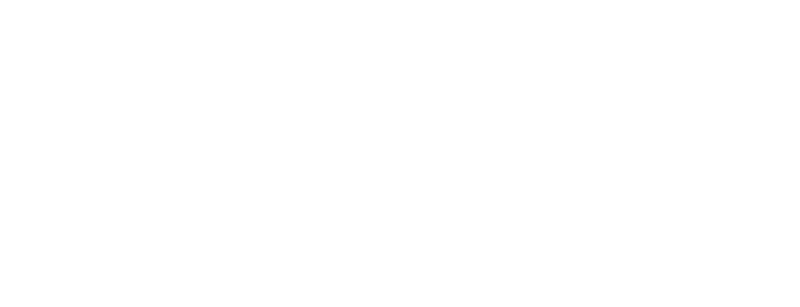 ECONNEX logo